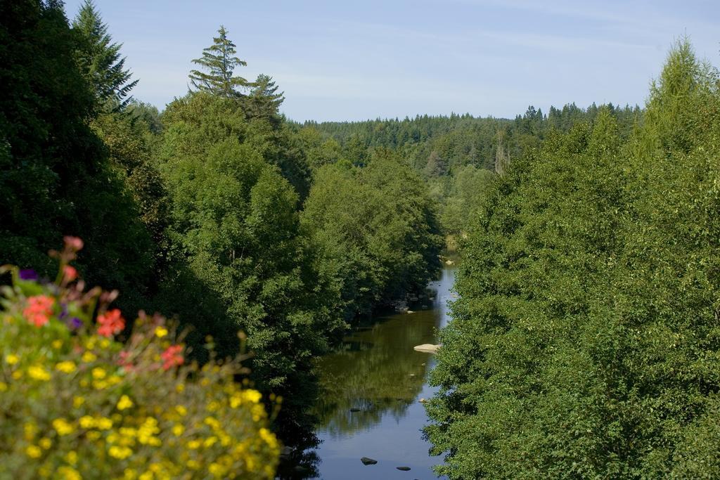 Logis Hotel Clair Matin Le Chambon-sur-Lignon Eksteriør billede
